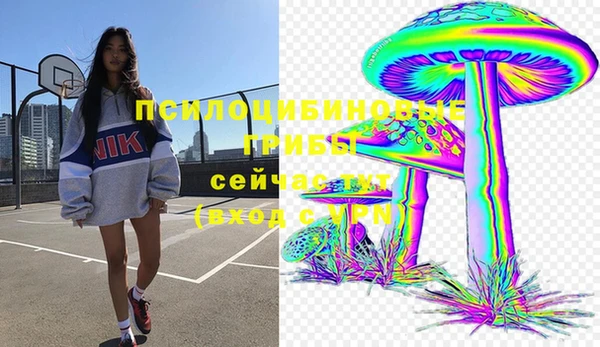 дурь Россошь
